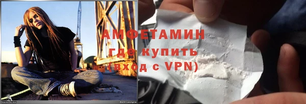 ПСИЛОЦИБИНОВЫЕ ГРИБЫ Дмитриев