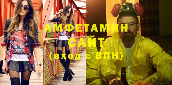 СК Ельня