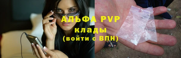 ПСИЛОЦИБИНОВЫЕ ГРИБЫ Дмитриев