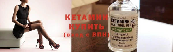 ПСИЛОЦИБИНОВЫЕ ГРИБЫ Дмитриев