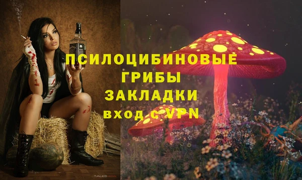 mdma Дмитров