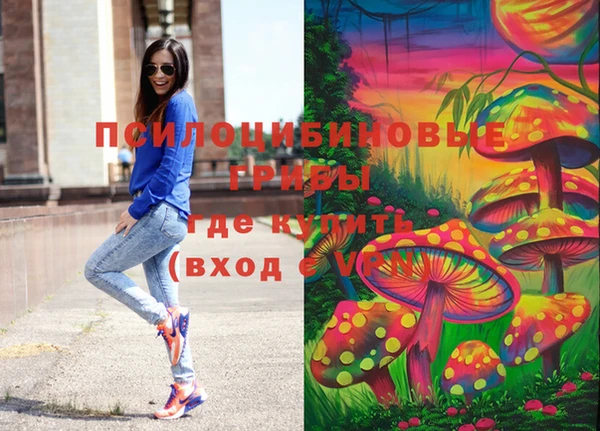 ПСИЛОЦИБИНОВЫЕ ГРИБЫ Дмитриев