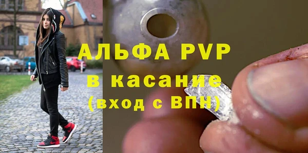 ПСИЛОЦИБИНОВЫЕ ГРИБЫ Дмитриев