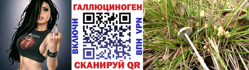 Галлюциногенные грибы мухоморы  Купить где  Закаменск 
